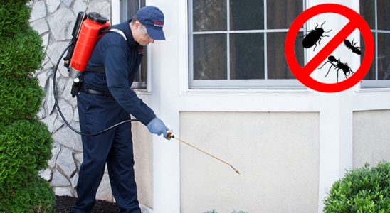 Efeler Fare İlaçlama böcek ilaçlama ve haşere kontrolü — ilaclama-tr.com